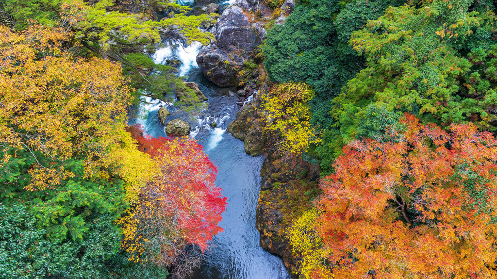 Hatonosu Valley, Okutama